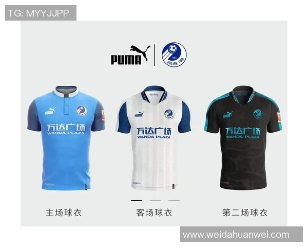 足球星5号球衣价格揭秘 市场售价与收藏价值分析